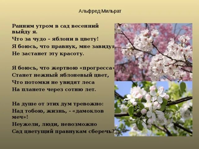 Сценарий выход весны. Цветение садов весной сочинение. Текст описание в весеннем саду.