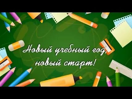 Видео футажи школа