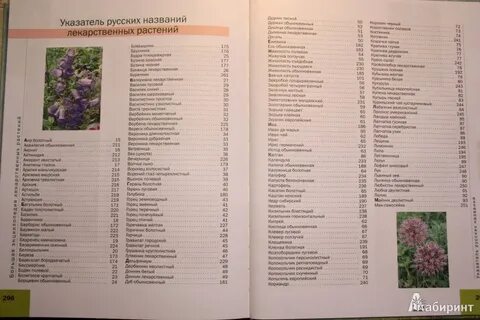Словарь названий лекарственных растений