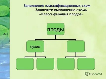 Правило и заполни схемы