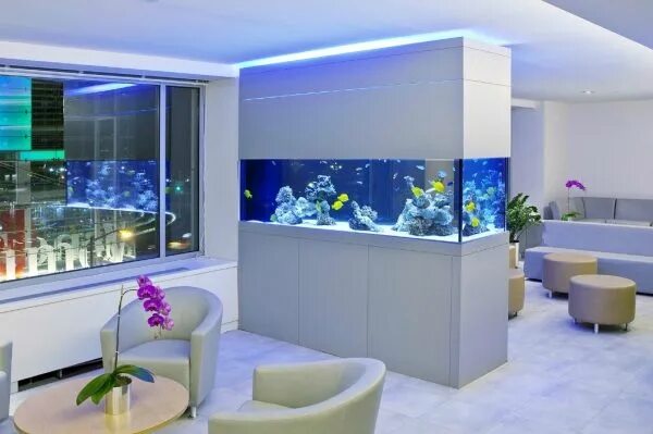 home on the water - contemporary - living room - toronto - Lionsgate Design Home