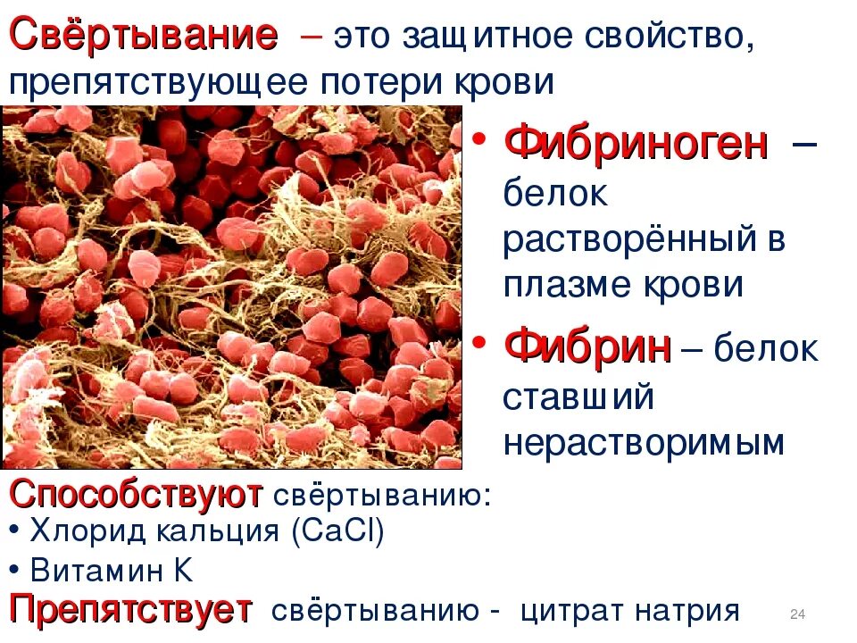 Как изменится количество фибрина после пореза. Фибриноген. Фибрин и фибриноген. Белок фибриноген. Белок фибрин.