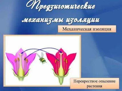 Механическая изоляция