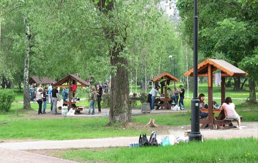 Пожарить шашлык в москве. Парк Царицыно пикниковая зона. Тропаревский парк пикниковая зона. Серебряный Бор пикниковая зона. Бирюлевский дендропарк мангальная зона.