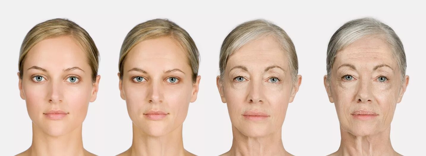 Ageing model