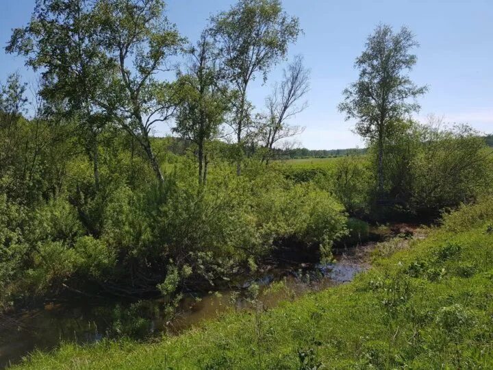 Кантат красноярский край. Река железногорск курская. Кантат красноярский край. Кантат рыбалка. Кантат рыбалка.