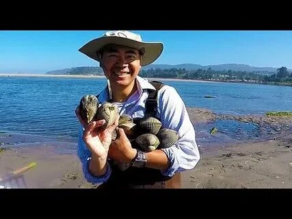 Dig catch