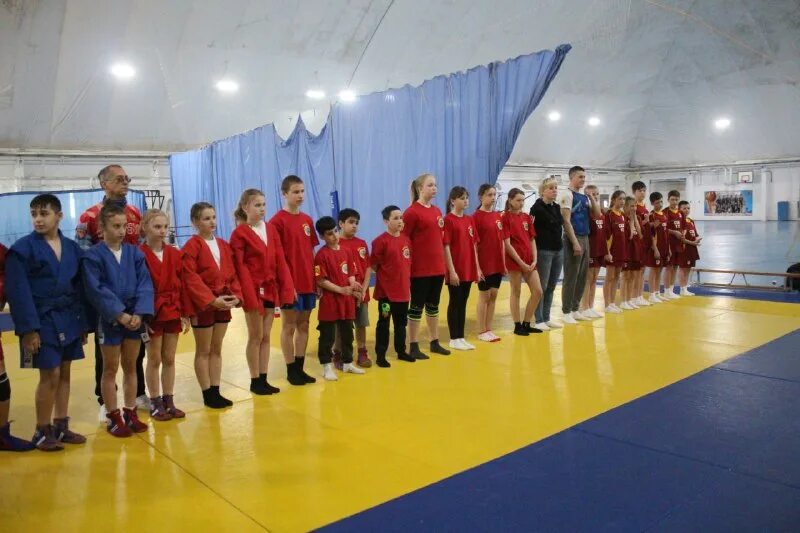 Самбо родного края. Самбо родного края. Рязанская самбистка дарья. Самбо родного края. Рязанская самбистка дарья.