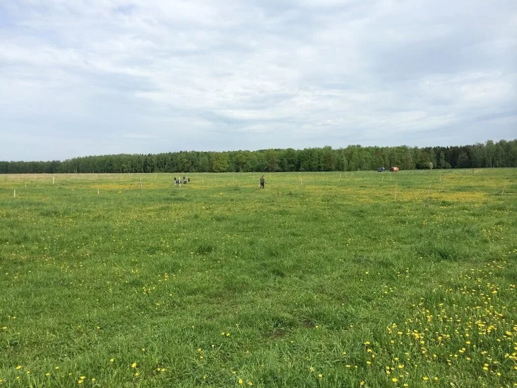 участок в тульском районе. село богословское тульская область. посёлок заокский тульской. посёлок лесной пушкинский район. земельные участки в тульской области.