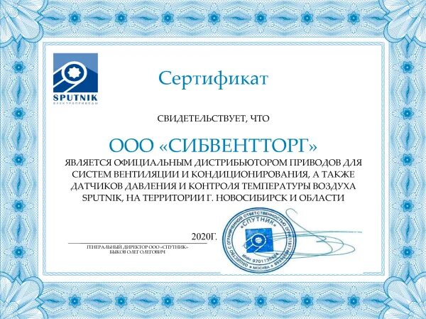 Сертификатом безопасности является. Сертификат Спутник. Сертификат Спутник v. Сертификат Спутник Лайт. Как выглядит сертификат.