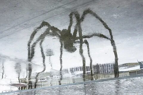 Маман москва