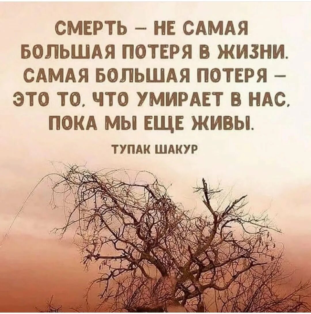 Цитаты умирающего. Цитаты про жизнь и смерть. цитаты про смерть. цитаты про смерть со смыслом. умные фразы о жизни и смерти.