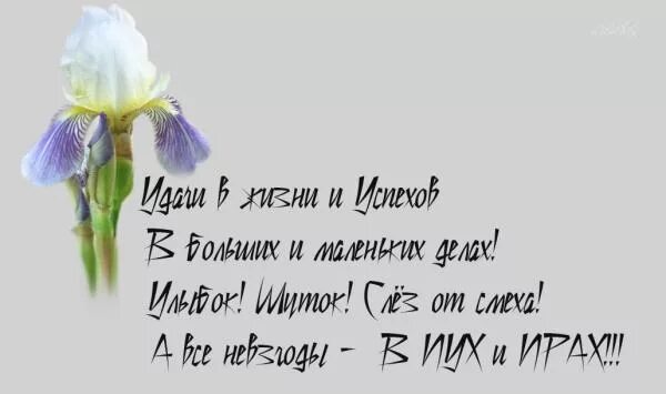 необычные поздравления с днем рождения. с днем рождения женщине творческой своими словами. стильное поздравление с днем рождения. с днем рождения женщине творческой своими словами. оригинальные открытки поздравления.