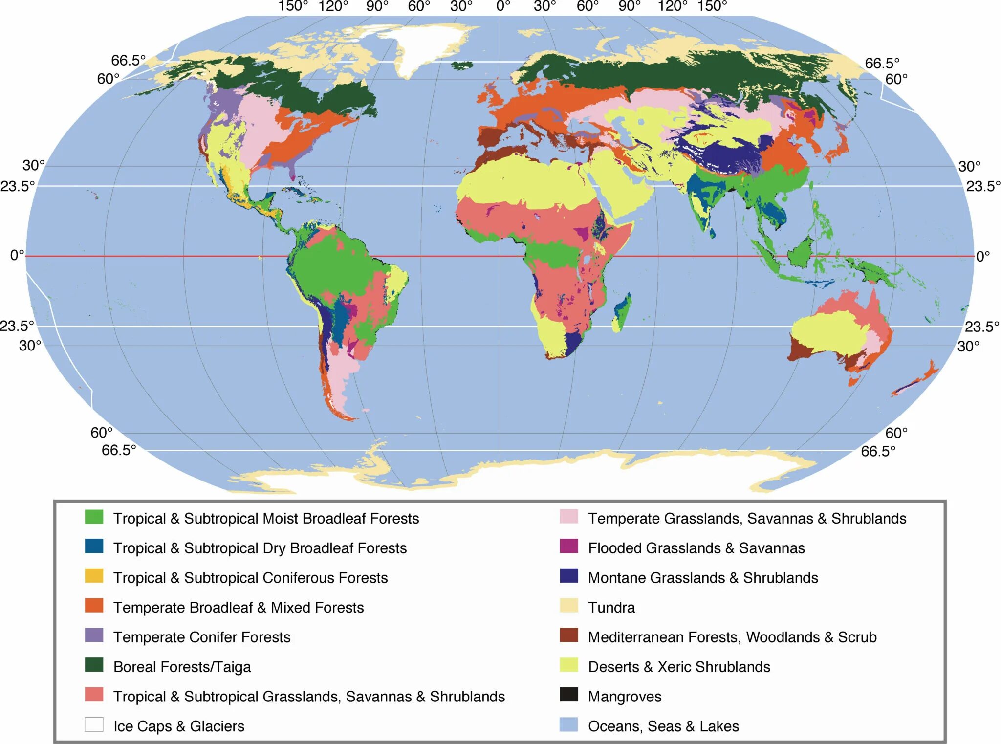 Биомы суши. Карту основные типы биомов суши. Карта распределения основных биомов суши.. Основные биомы.