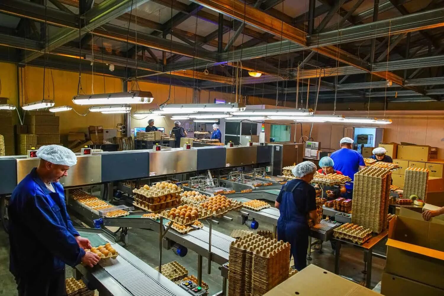 волжанин рыбинск. оао волжанин птицефабрика. волжанин рыбинск вакансии. волжанин птицефабрика. ооо возрождение мышкин.