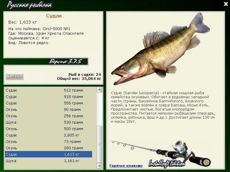 русская рыбалка толстолобик. какой вес судака. какой вес судака. судак рыба максимальный вес. таблица возраста судака.