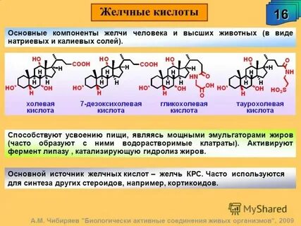 Роль гидролиза в живых организмах