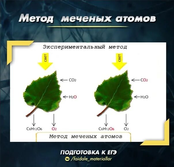 Пример использования метода меченых атомов