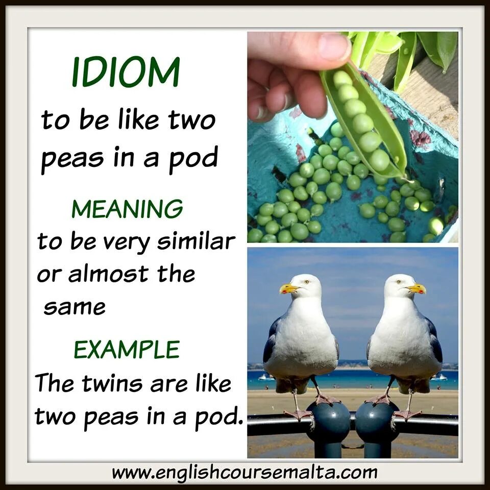 Like meaning. Like two Peas идиомы. Like two Peas in a pod. Английские идиомы like two Peas in a pod. Like two Peas in a pod идиома.