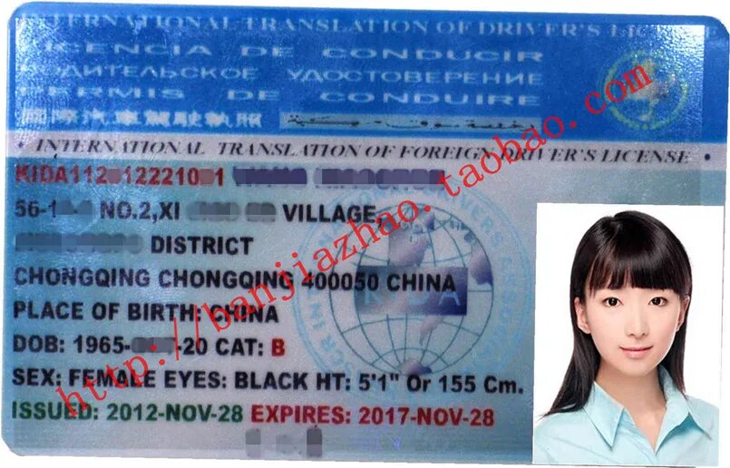Denwer локальный сервер. International driver license. 1. No license. Лицензия перевод.