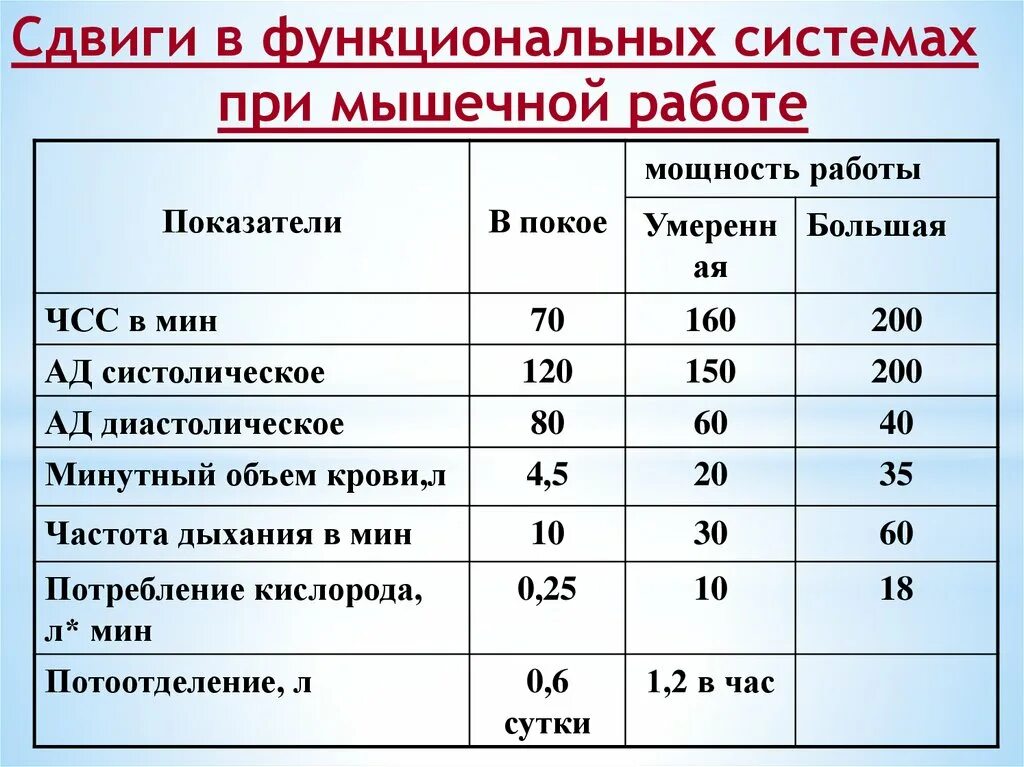 Дыхание л мин. Изменение ЧСС при физической нагрузке. Изменение ЧСС при мышечной работе. Показатели сердечной деятельности. ЧСС В покое и при физической нагрузке.