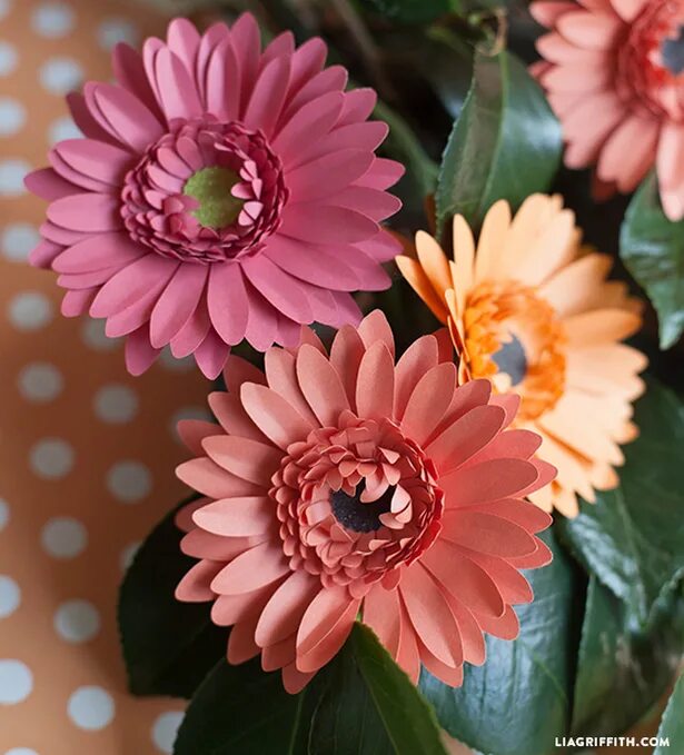 гербера из фоамирана. гербера из бумаги. гербер из гофрированной бумаги. засушенные герберы. герберы из цветной бумаги.