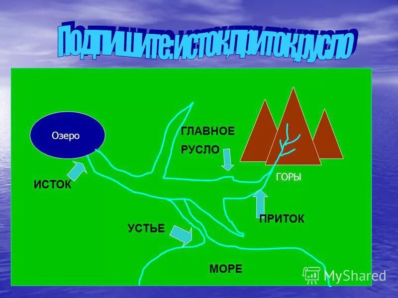 Фирма притоки. Исток приток Устье русло. Что такое Устье реки и Исток и русло и приток. Исток Устье русло. Река Устье Исток русло.