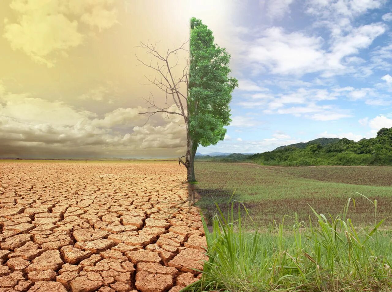 Глобальные экологические проблемы климатические изменения. Опустынивание земель. Засуха. Смена климата. Климатические изменения.