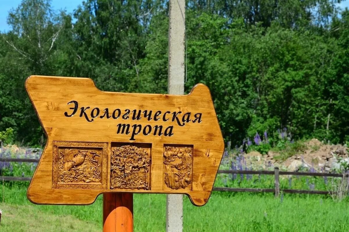 Экотропа новосибирск. Экологическая тропа оренбург. Парк лесовод ландшафт. Станица раздорская экологическая тропа. Экологическая тропа липовая гора.