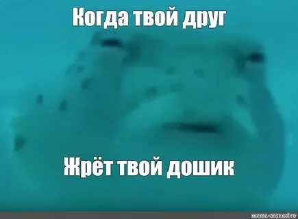 Не верю блять