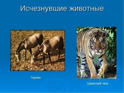 Какие исчезнувшие виды животных