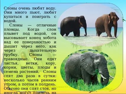 Рабочие листы где живут слоны 1 класс