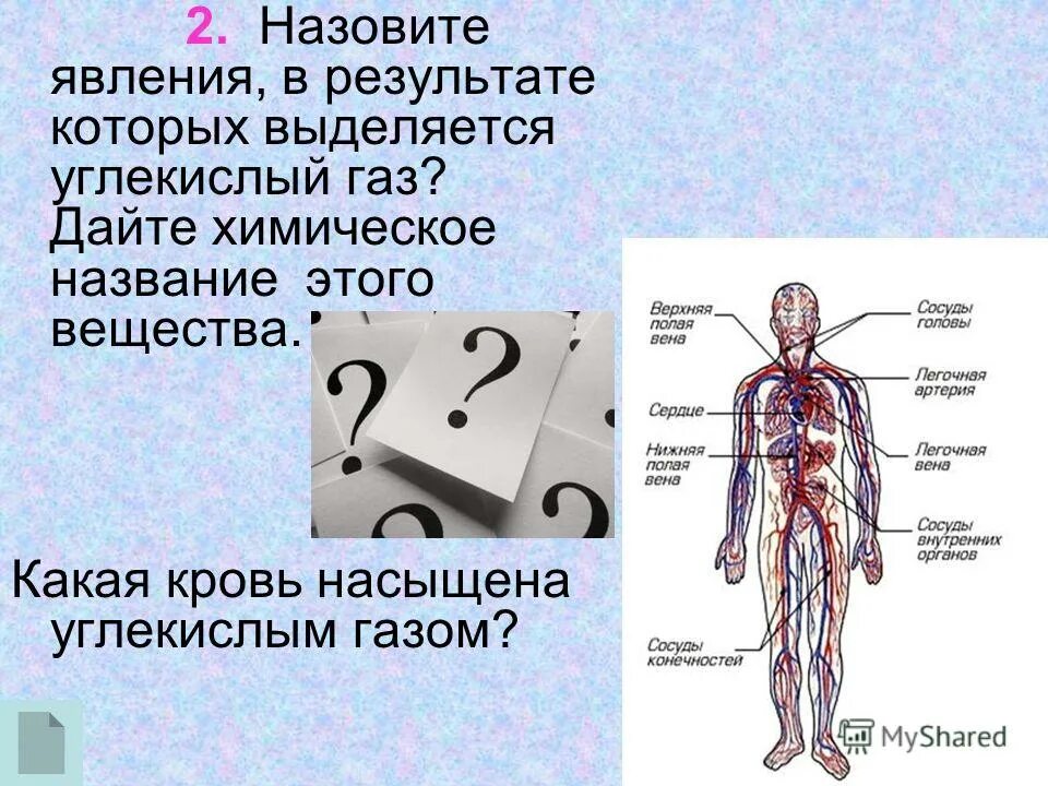 углекислый газ это вещество. кровь насыщается углекислым газом в. перенос кислорода в крови. передвижение веществ у животных. транспорт веществ в организме.