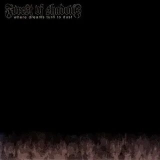 In the shadows of dust