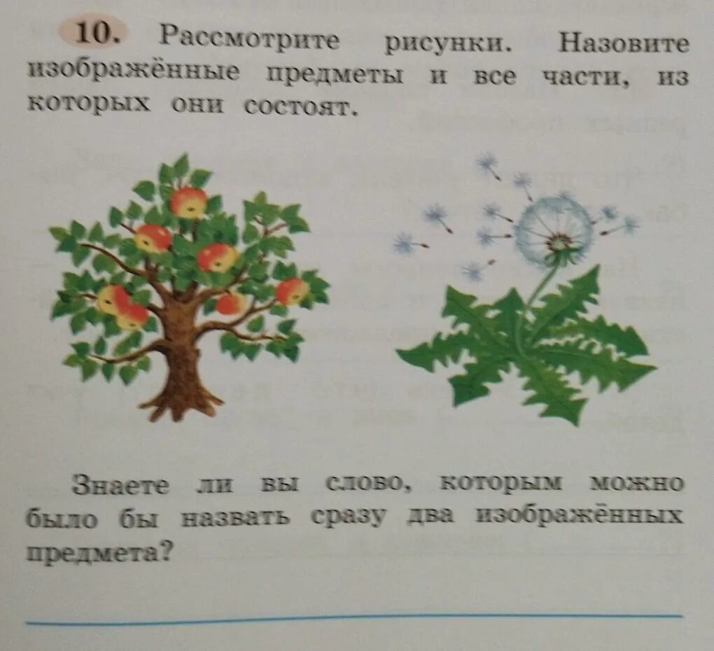 Рассмотри рисунки назовите предметы 2 класс. Рассмотрите рисунки назовите предметы. Рассмотри картинки назови предметы. Рассмотри рисунки назови предметы, изображенные на рисунках. Рассмотрите рисунок назовите изображенные предметы на нём.