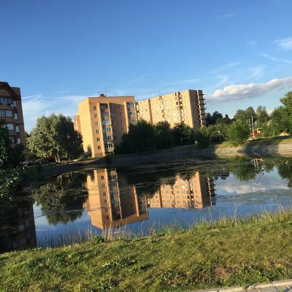 Истринские водоемы. Гидровский пруд Истра. ФИАНОВСКИЙ пруд Троицк. Пруд Чайковского Истра. Пруд на Советской Истра.