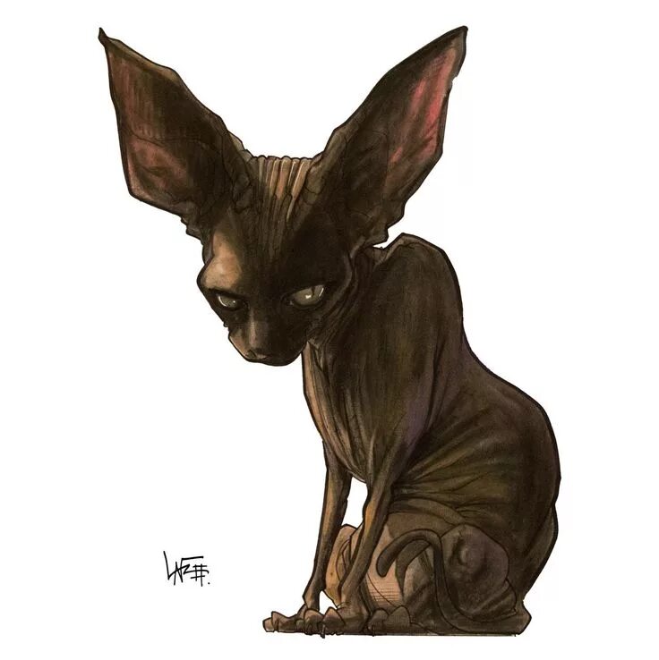 Сфинкс достоевский. Египетский сфинкс кошка. сфинкс кошка арт. канадский сфинкс арт. черный сфинкс.
