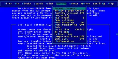 Ms dos word