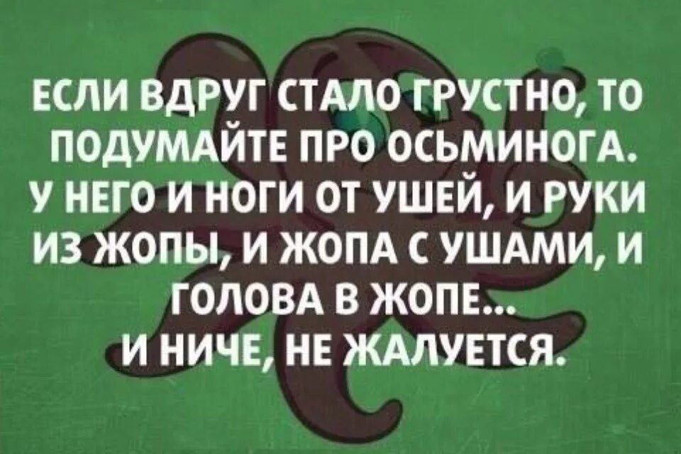 Также подумала. Также подумала. Анекдот про осьминога руки. Также подумала. Мемы мемы про отказ.