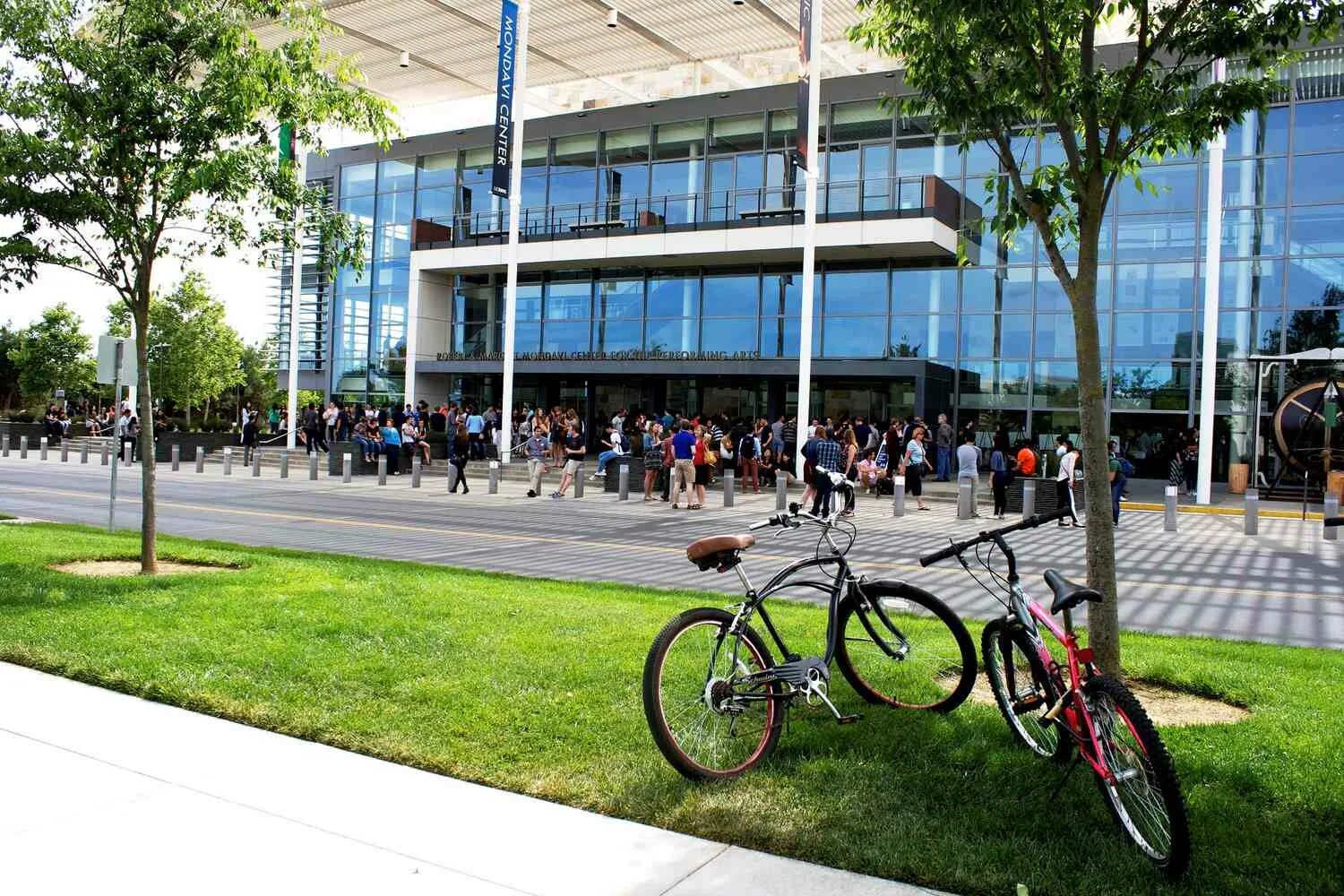 Университет дэвиса калифорния. Университет дэвиса. University of california davis. University of california davis. University of california davis.