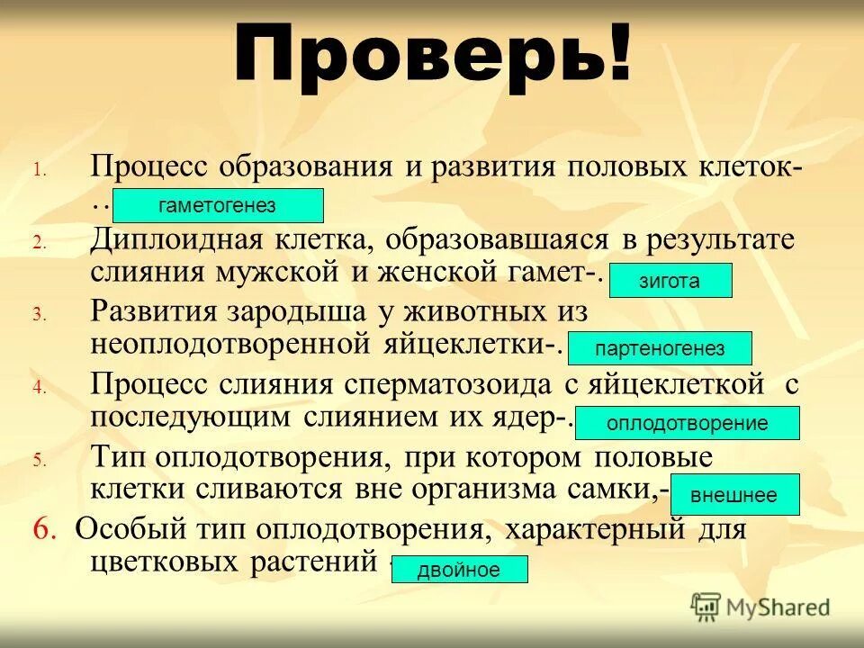 Фаза созревания сперматозоидов. Процесс образования и развития половых. Гаметогенез сперматогенез овогенез. Таблица стадии развития половых клеток. Стадии развития половых клеток у животных.