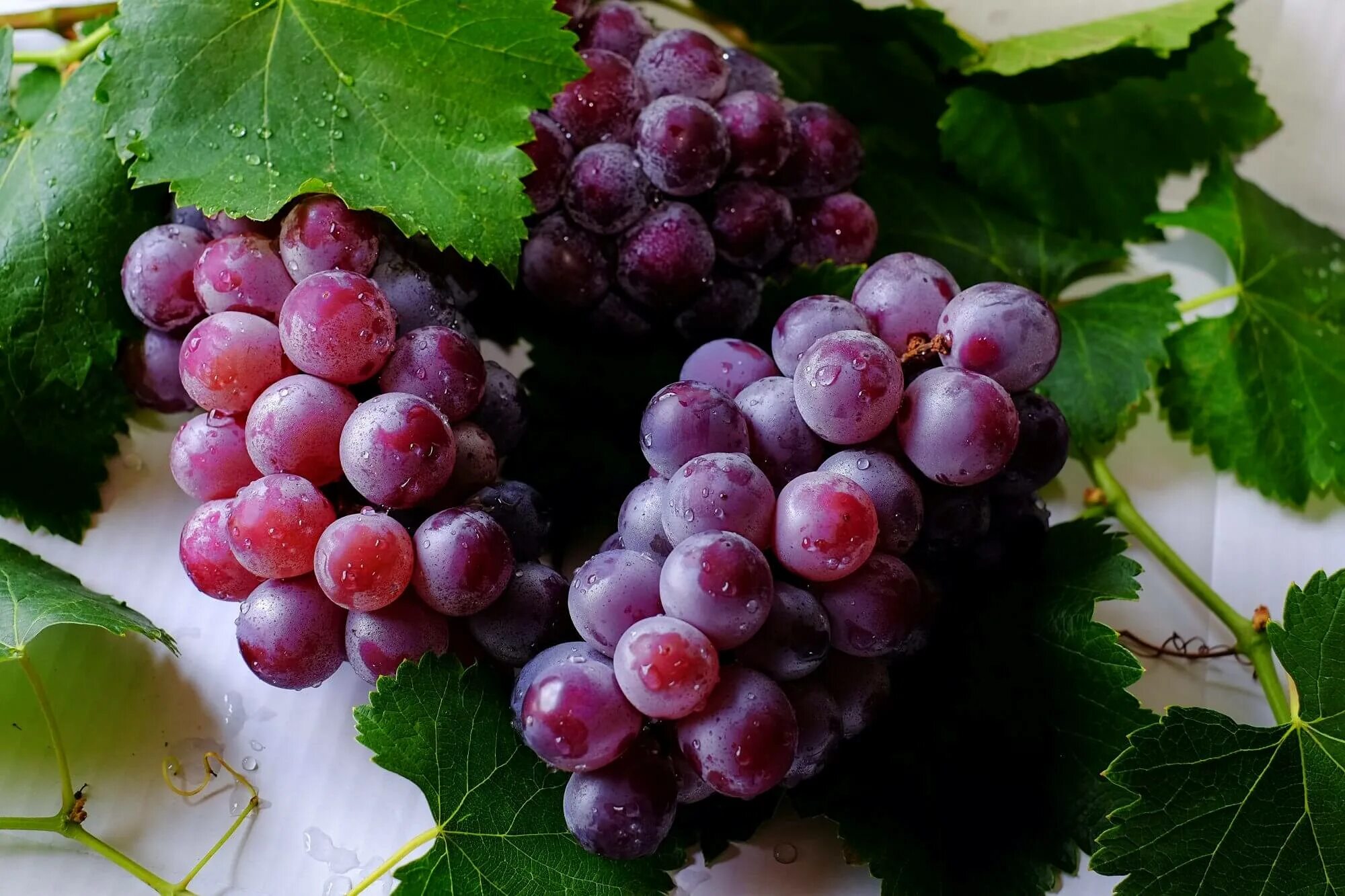 Винограда ягодка. Виноград Кримсон. Vitis vinifera. Виноград Мускат Вира. Цоликаури виноград.