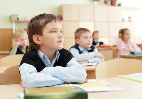 Ученик относится к