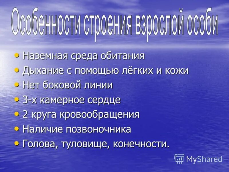 С помощью легких и кожи. Животные дышащие жабрами. Кожно легочное дыхание. Кожное дыхание лягушки. С помощью легких и кожи.
