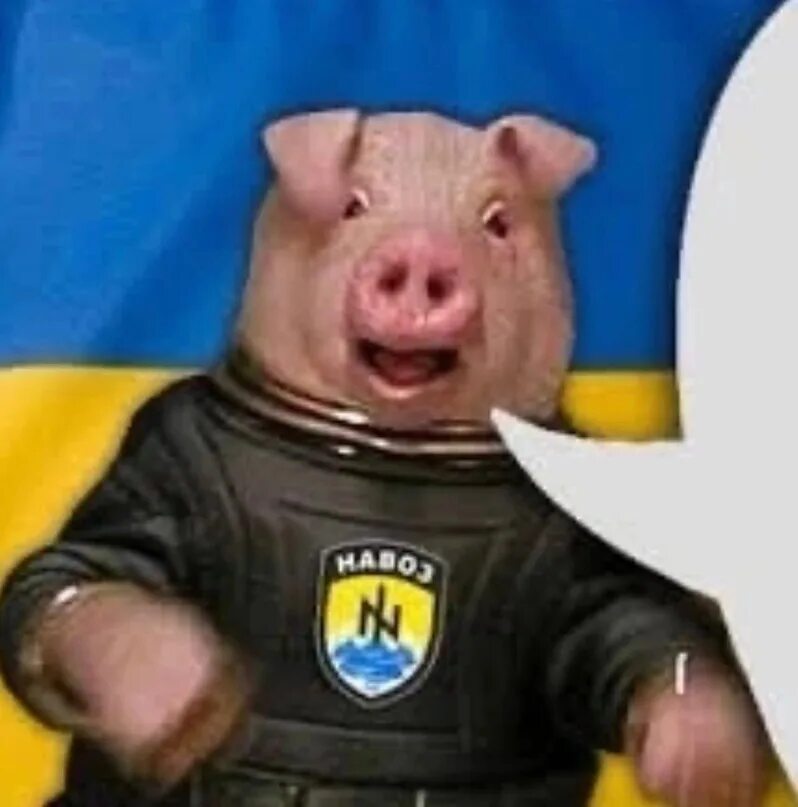 Украинские свинки. Поросенок с украинским флагом.