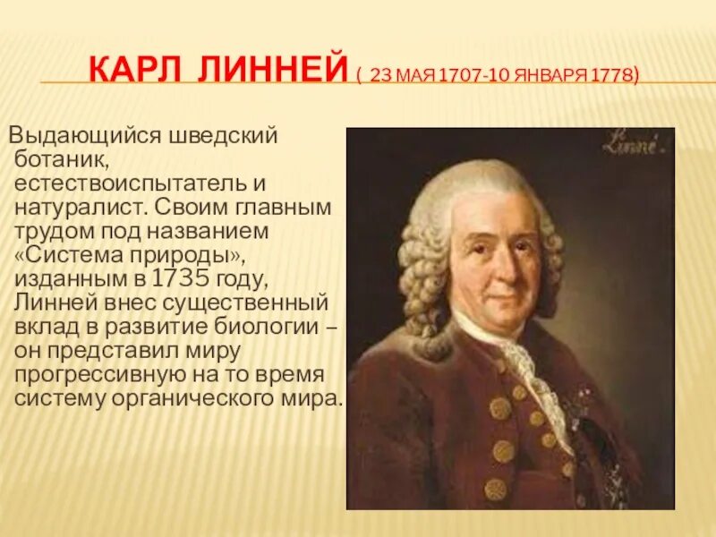 Линней - (1707-1778). Карл линней (1707-1778). Карл линней цветочные часы. ). Карл линней (1707-1778).