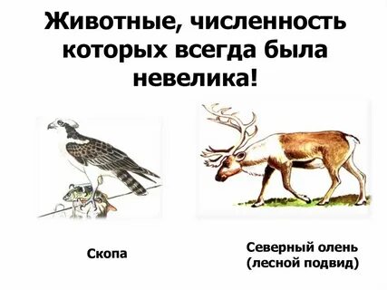 Количество обитатель