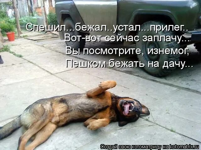 Устал бегавший. Устал бежать. устала бегать. ..устал я бегать))). устала прилегла.