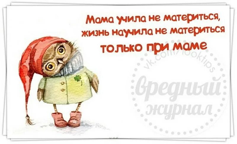 красивые маты. учись ругаться. жизнь научила. учись ругаться. учись ругаться.