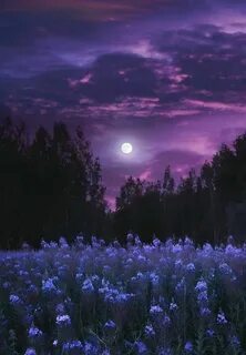 Сладких снов пейзаж